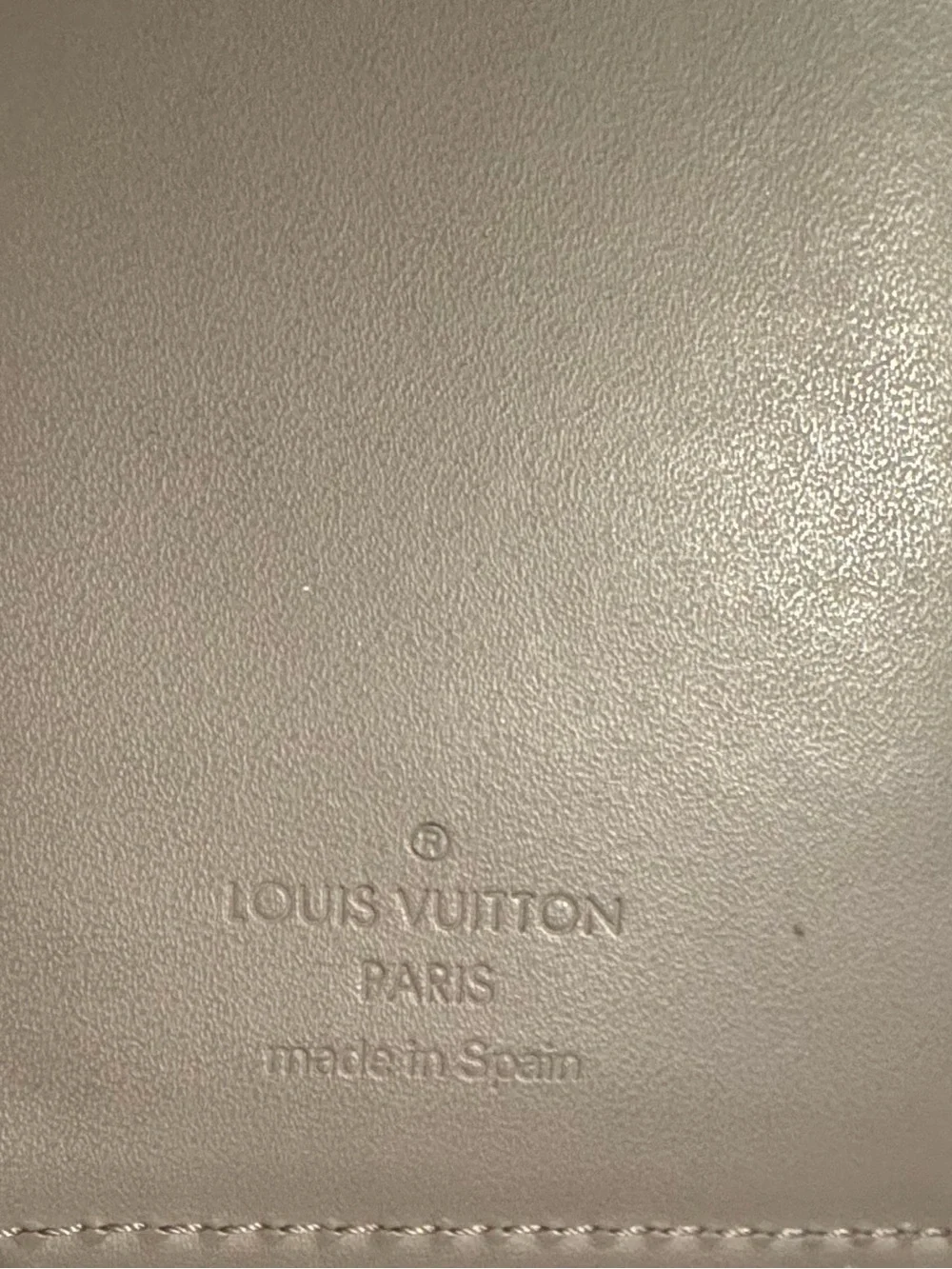Louis Vuitton Epi Leather Organizer in Taupe Gray